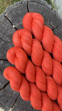 **Preorder** Roadie Van  - Hard Rock DK
