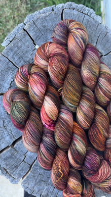 **Preorder** Ventura Highway - Hard Rock DK